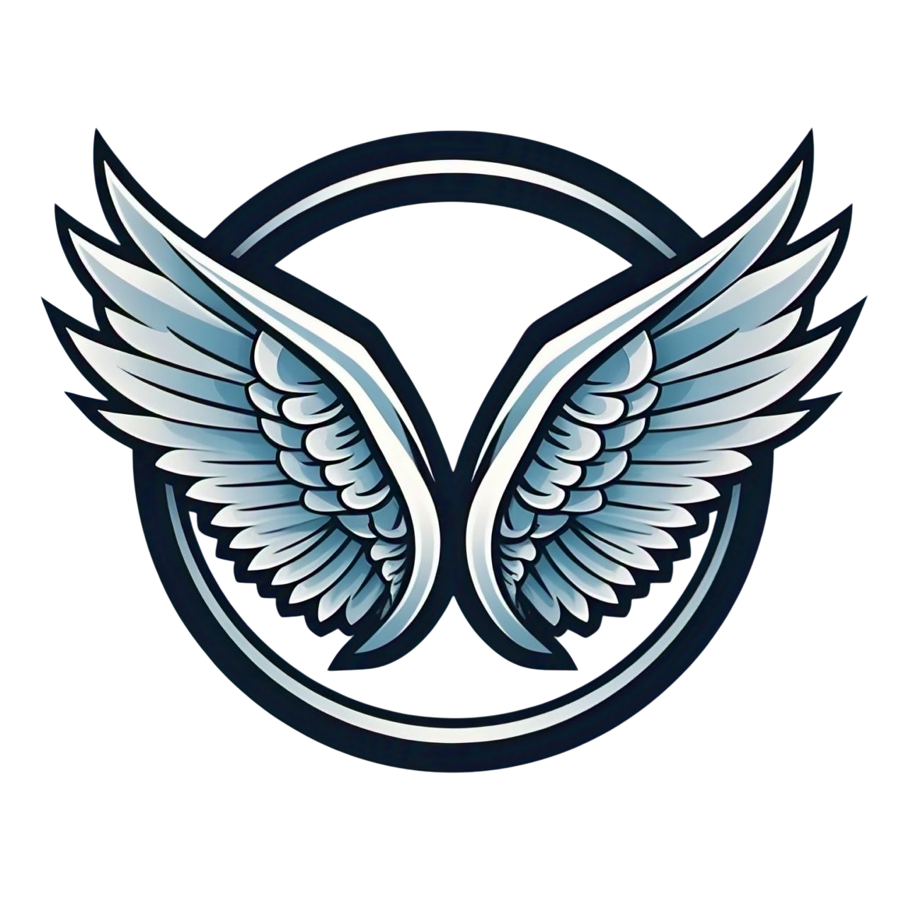 A stylized logo featuring a pair of silver-blue wings centered within a thick dark circle.