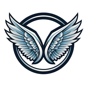 A stylized logo featuring a pair of silver-blue wings centered within a thick dark circle.